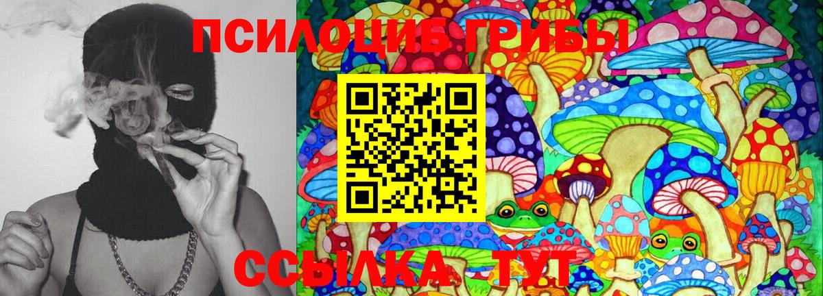 Асбест  Псилоцибиновые грибы мицелий  Вход с VPN 